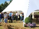Witte stertent op terrein