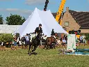 Dubbele stertent in kleur wit
