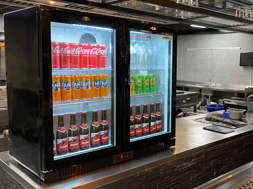 Professionele glazen koelvitrine met 2 deuren
