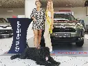 ToyotaDeBruyn_StatafelHoes.webp