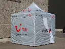 tui-g.webp