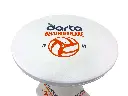 VolleybalDartaBevoRoeselare_StatafelHoes_3.webp